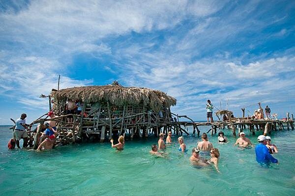YS Falls, Pelican Bar, Horseback Ride/Swim Combo Tour with Lunch - YS Falls And Its Seven Tiers