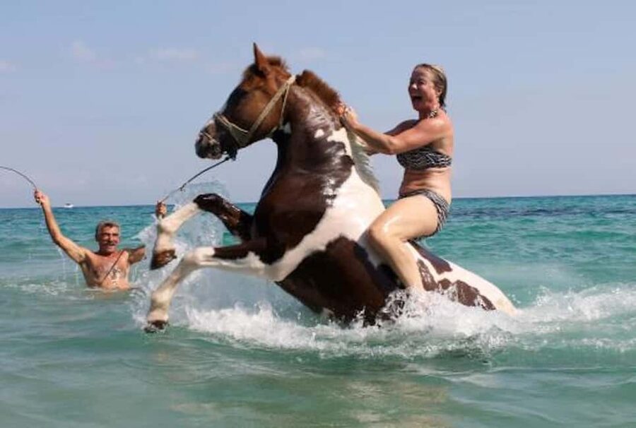 Zakynthos: Yotomu Horse Riding and Swimming Experience - Starting at Yannis Horses Farm in Kato Gerakari