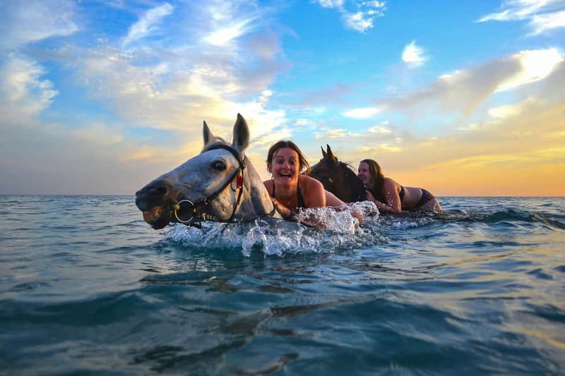 Zakynthos: Yotomu Horse Riding and Swimming Experience - The two-hour route and its age restrictions