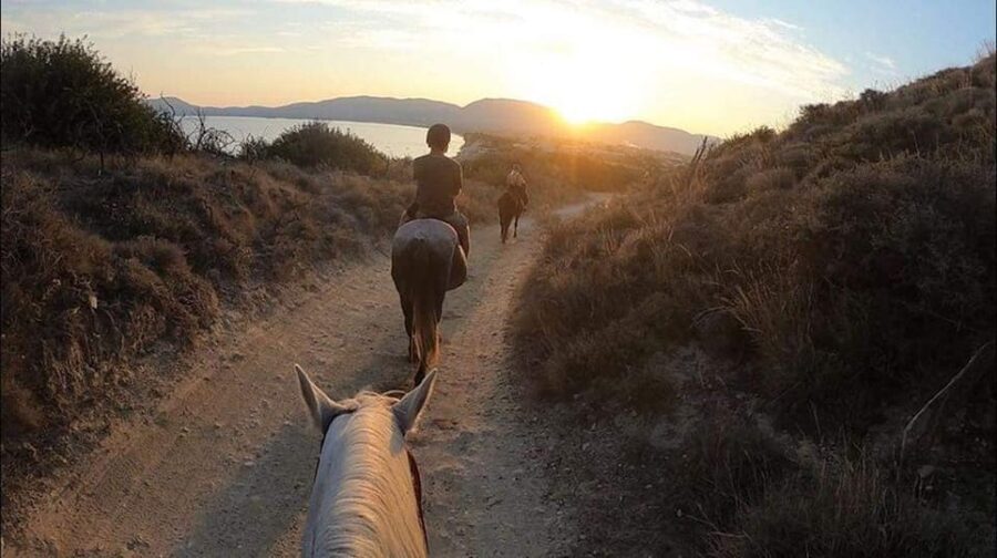 Zakynthos: Yotomu Horse Riding and Swimming Experience - The three-hour Ride and Swim at the Amoudi beach