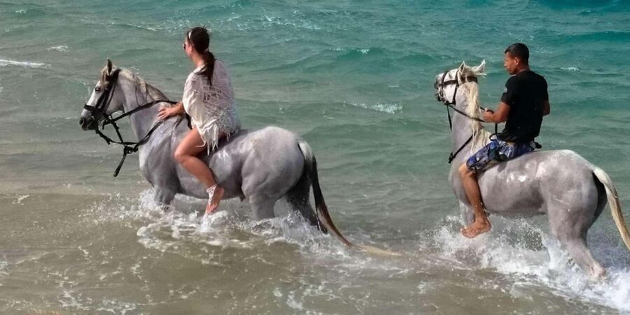 Zakynthos: Yotomu Horse Riding and Swimming Experience - Meeting the horses and judging the safety setup