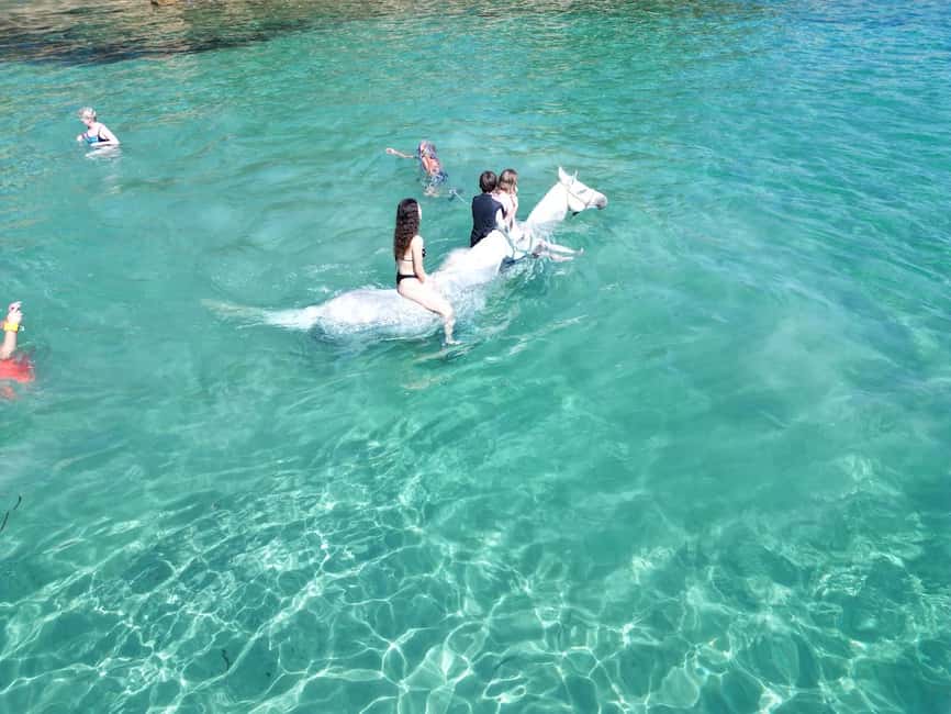 Zakynthos: Yotomu Horse Riding and Swimming Experience - What the $58 price means