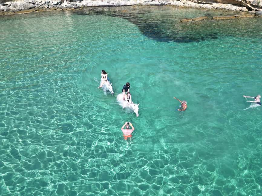 Zakynthos: Yotomu Horse Riding and Swimming Experience - Should you book the Yotomu horse ride?