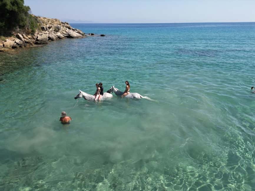 Zakynthos: Yotomu Horse Riding and Swimming Experience - The one-hour Wild Nature ride through olive groves