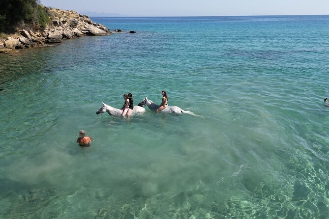 Zakytnhos Horse Riding Swimming Experience - Riding from Yannis Horses Farm in Kato Gerakari