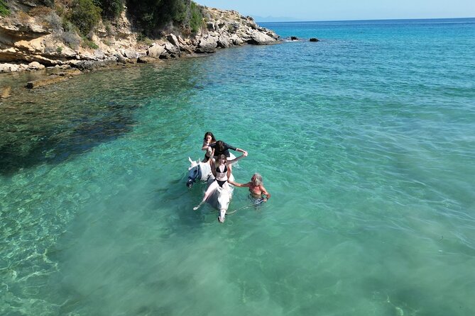 Zakytnhos Horse Riding Swimming Experience - Swimming with the horses from 10:00 to 11:00