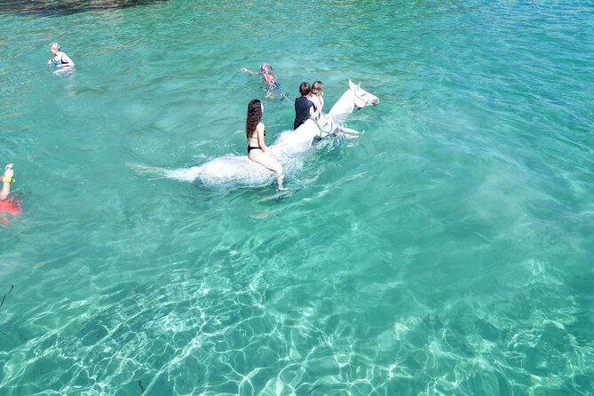 Zakytnhos Horse Riding Swimming Experience - The one-hour Wild Nature ride at 18:00 or 19:00