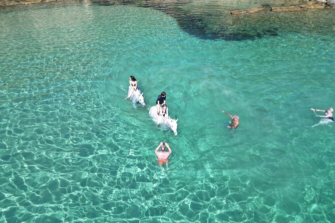 Zakytnhos Horse Riding Swimming Experience - The two-hour Wild Nature option