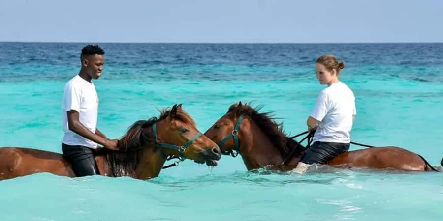 Zanzibar: Beach Horseback Ride and Swim with the Horse - Quick points before you book