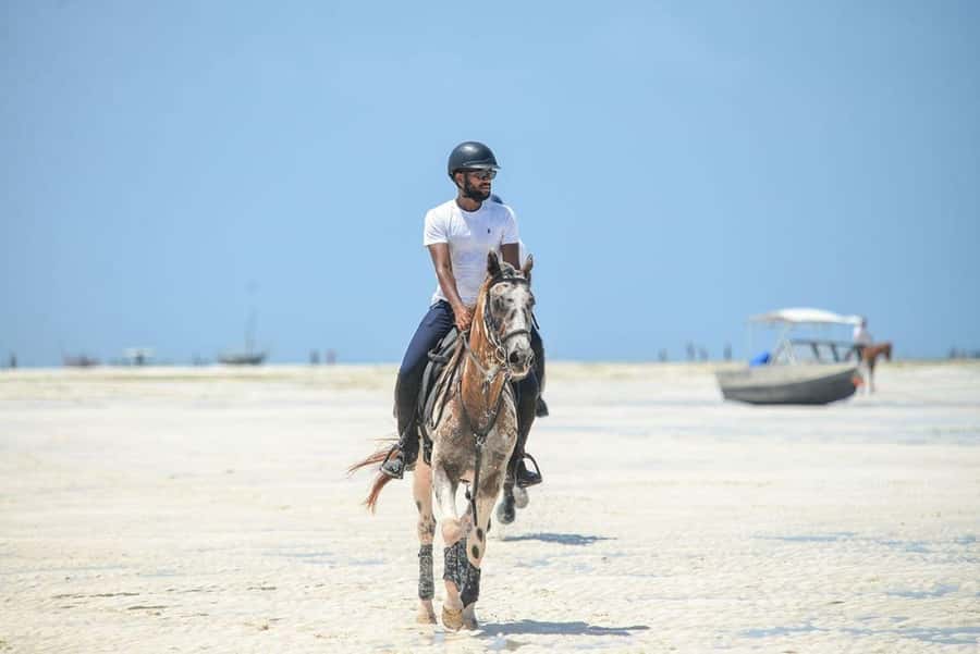 Zanzibar: Beach Horseback Ride and Swim with the Horse - Who will enjoy this Zanzibar ride?