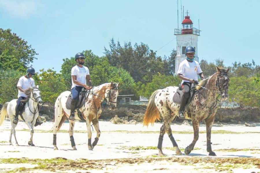 Zanzibar: Beach Horseback Ride and Swim with the Horse - Meeting your horse at the stable