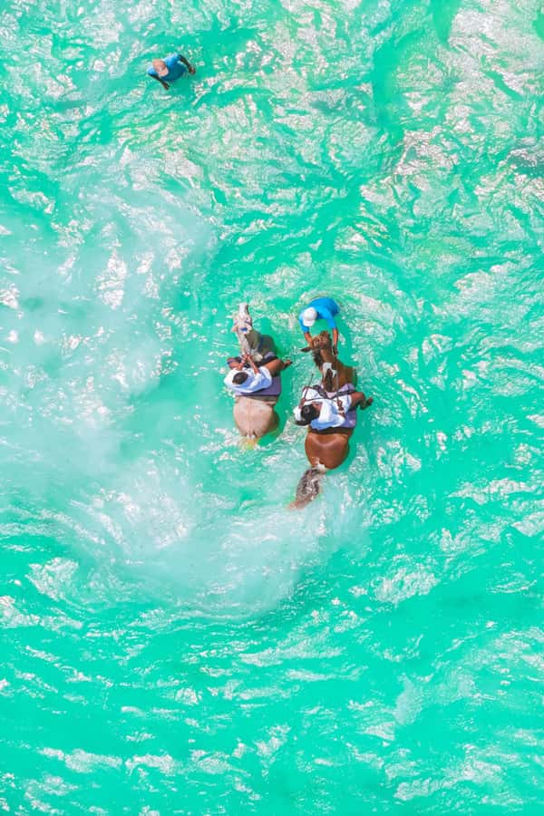 Zanzibar: Horse Riding and Kayaking with Video and Photos - A private tour with broad pickup coverage