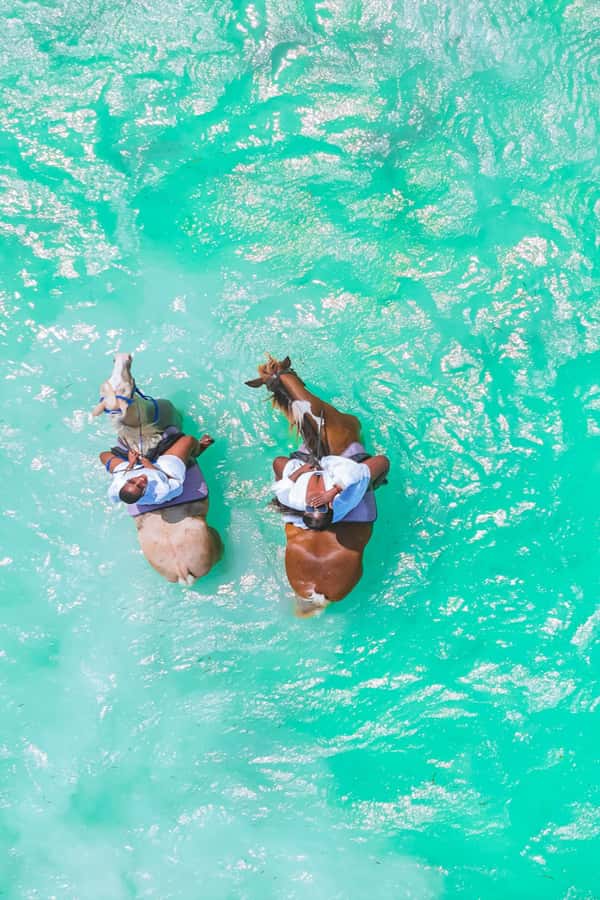 Zanzibar: Horse Riding and Kayaking with Video and Photos - What the guides add to the day