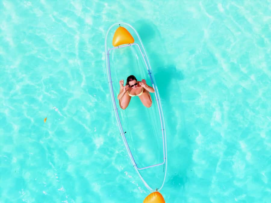 Zanzibar: Horse Riding and Kayaking with Video and Photos - Is $230 per person fair value?