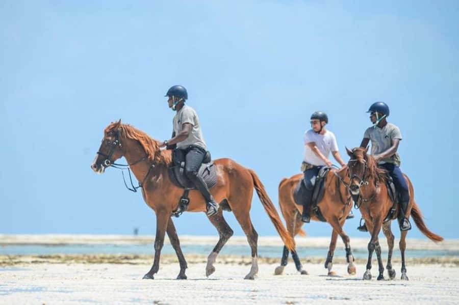 Zanzibar Horseback Riding - Riding across the white sand