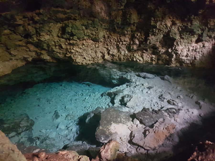 Zanzibar: Horseback Riding and Turtle Aquarium Visit - Guides, languages, and the private-group format