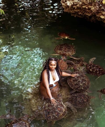 Zanzibar: Horseback Riding and Turtle Swimming Tour