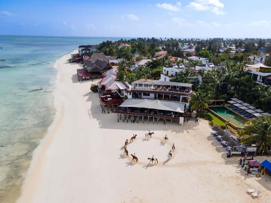 Zanzibar: Horseback Riding and Turtle Swimming Tour - Guides, pickup, and the practical side of the day