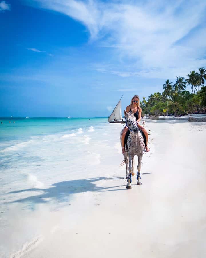 Zanzibar: Horseback Riding and Turtle Swimming Tour - What to pack for the horse and turtle stops