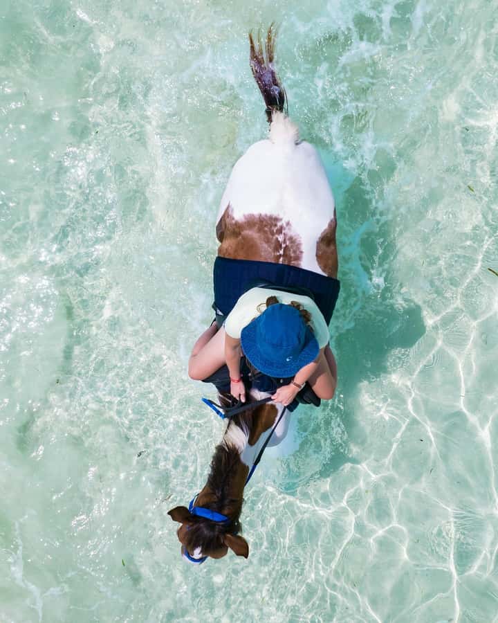 Zanzibar: Horseback Riding and Turtle Swimming Tour - Should you book this Zanzibar tour?