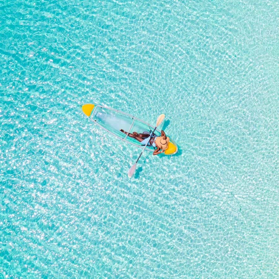 Zanzibar: Swimming With Horse and Clear Kayaking Tour - Key points before you book