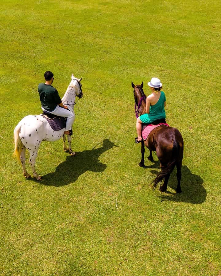 Zanzibar: Swimming With Horse and Clear Kayaking Tour - Choosing between Pwani Mchangani and Nungwi