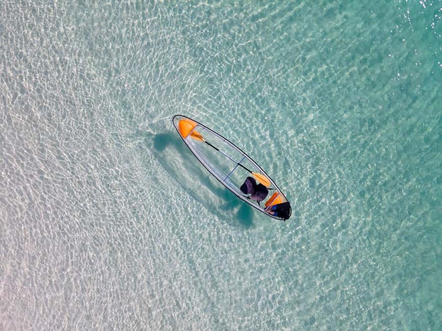 Zanzibar: Swimming With Horse and Clear Kayaking Tour - What swimming with a horse is really like