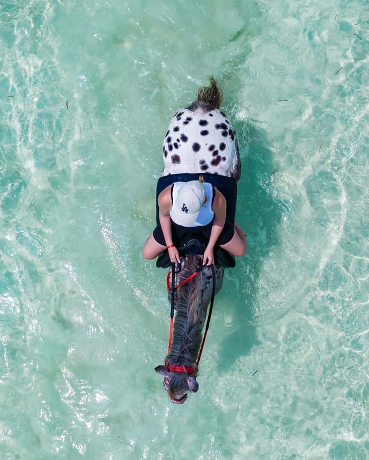 Zanzibar: Swimming With Horse and Clear Kayaking Tour - Kendwa Beach and the clear kayak