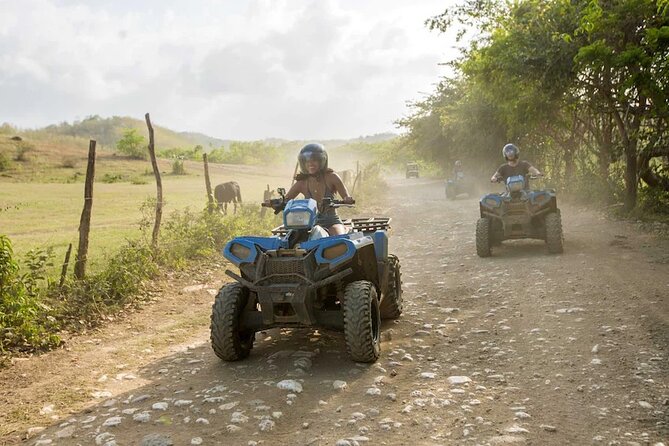Zip-lining/Horseback Rides/Cat & Atv Inclusive Act with Transpo From Montego Bay - Hotel pickup makes a complicated day easier