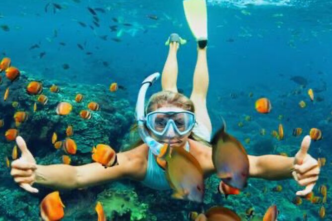 Zip-lining/Horseback Rides/Cat & Atv Inclusive Act with Transpo From Montego Bay - The catamaran option needs a clear answer