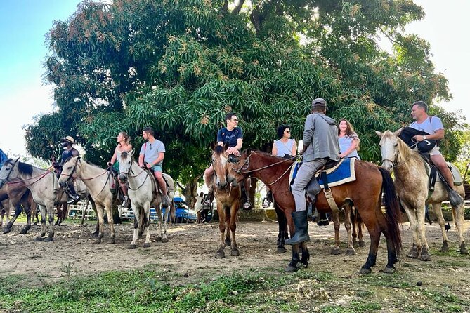 Zipline,Dune Buggy,Horse Riding - Horseback riding through trees and cocoa plants