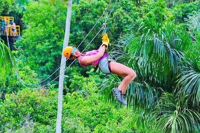 Zipline, Horse, Buggy and Macao Beach, Water Park with Lunch - A Farm Stop With Coffee, Tea, and Chocolate