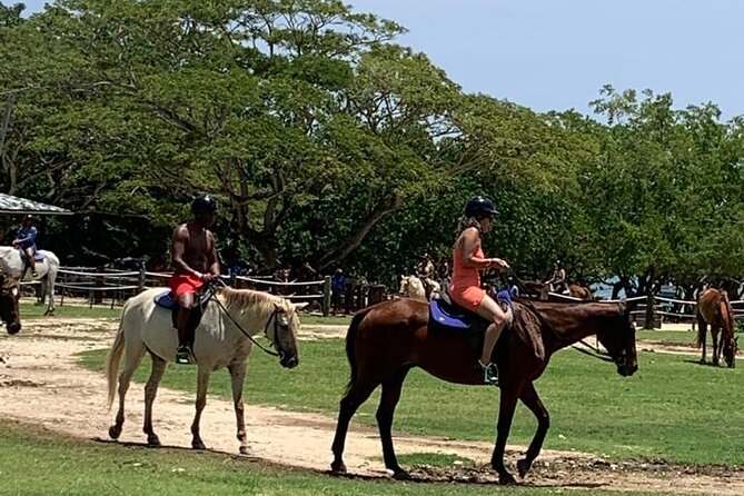 Zipline, Horseback Ride, ATV and Catamaran from Montego Bay - Ziplining through Jamaica’s backyard